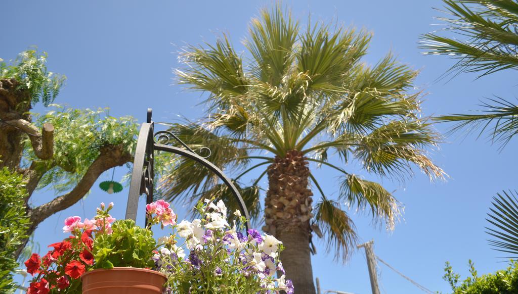 Ansise Guest House Lido di Noto Extérieur photo